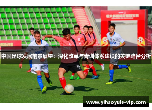 中国足球发展前景展望：深化改革与青训体系建设的关键路径分析